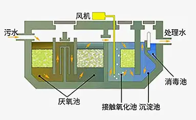 生活污水处理流程.webp